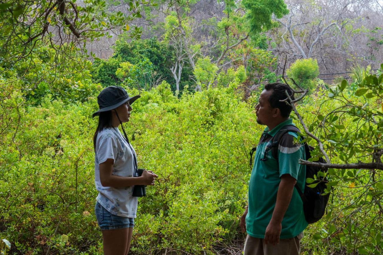 Made Taro - Menjangan Homestay Banyuwedang Exteriér fotografie